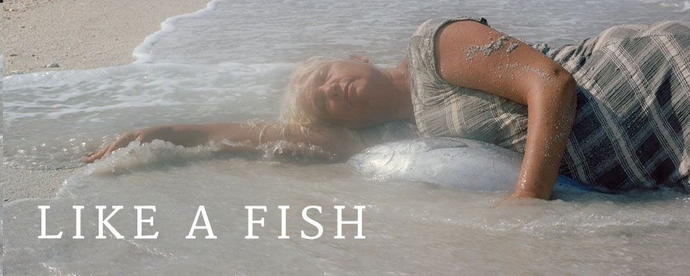 Like a Fish