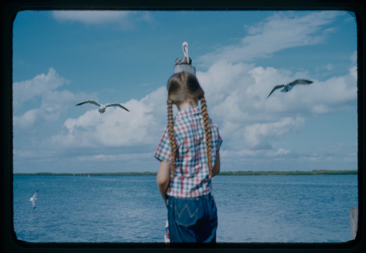 Evelyn with Seagulls, Florida, photographer unknown, Kodachrome, undated
