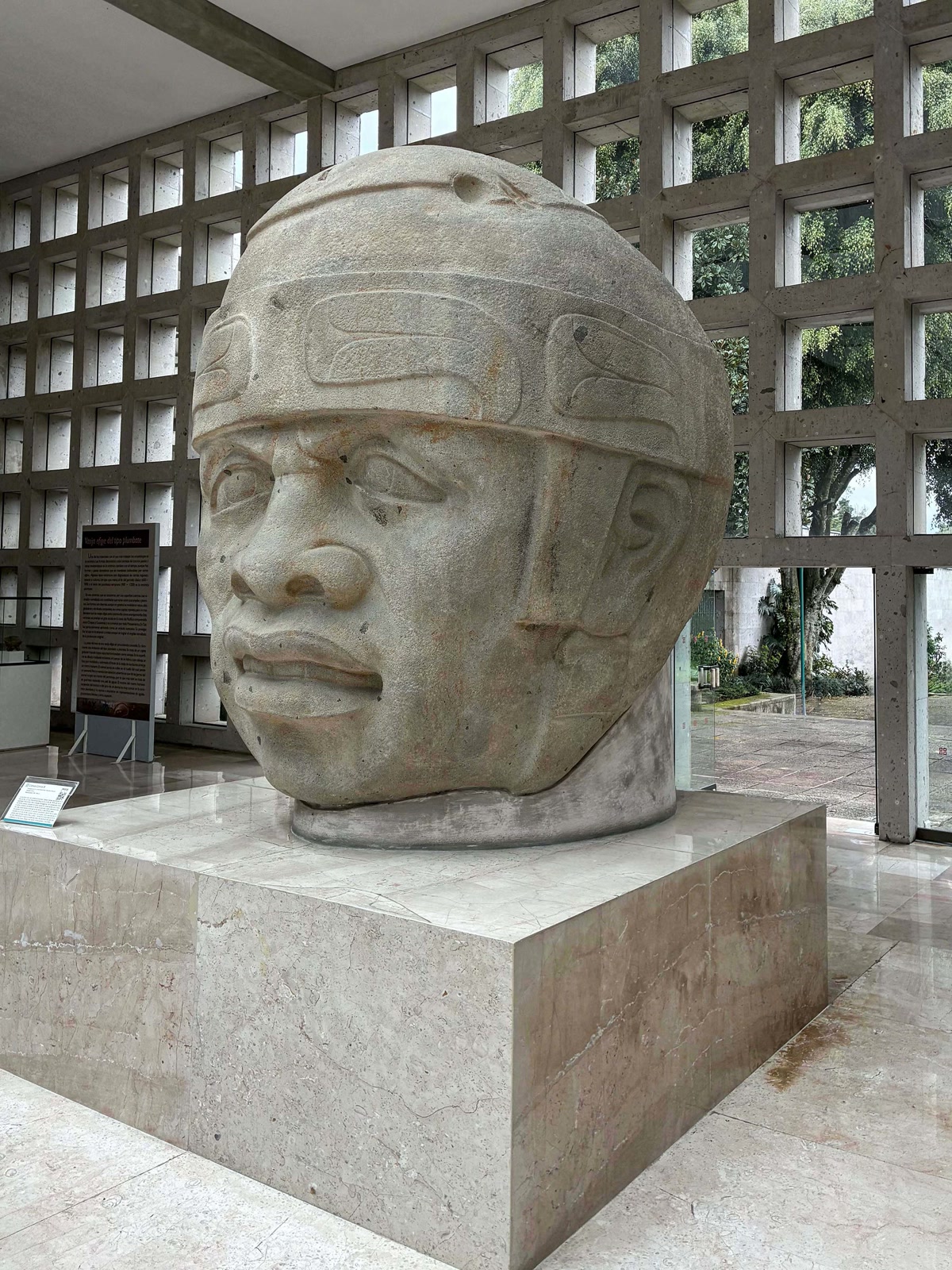Colossal Olmec head at the Anthropology Museum of Xalapa.